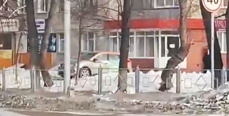 «Делимобиль» устроил покатушки на тротуаре в Бердске и перепугал пешеходов