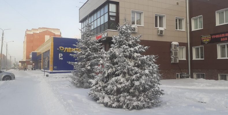 Штормовой ветер ожидается в Бердске в ближайшие дни