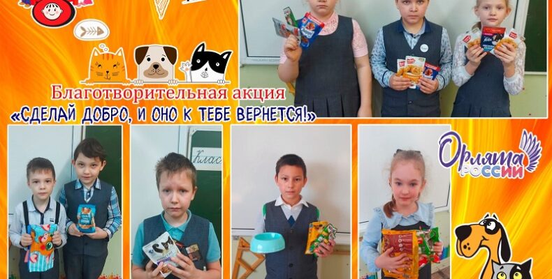 «Сделай добро, и оно к тебе вернется»: акция в помощь животным приюта «Надежда» проводится в Бердске